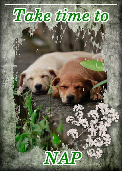 NAP