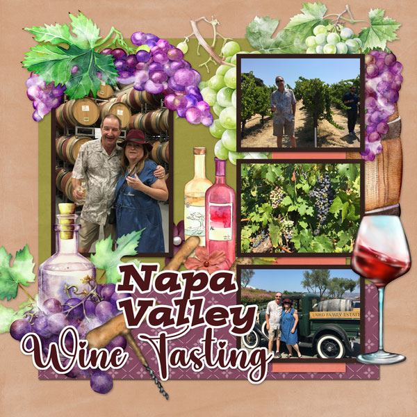Napa Valley Wine Tasting