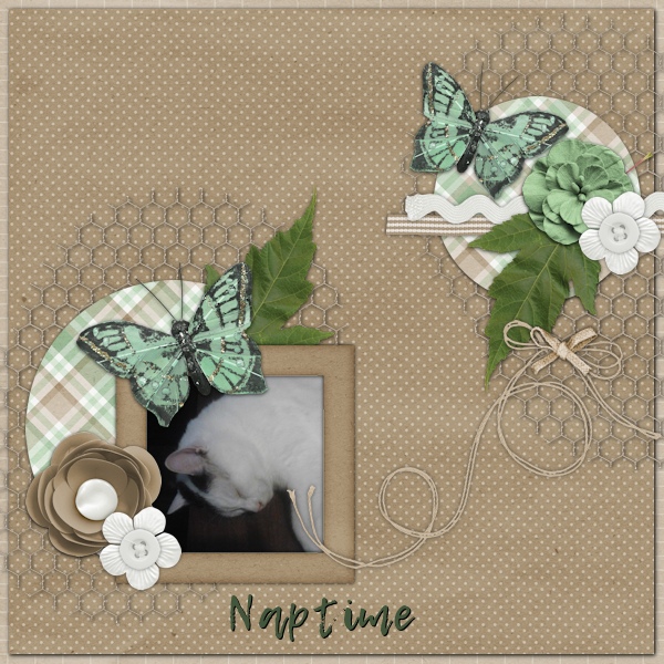 Naptime