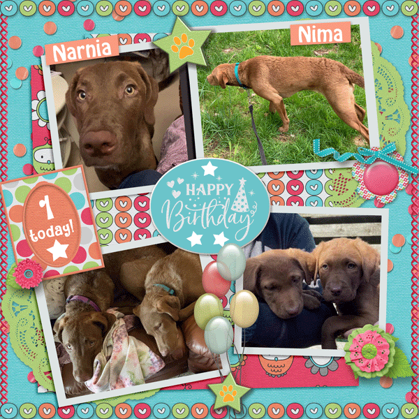 Narnia-Nima-2022-bday-spd-choose-happy-MonikaAprilisa_PicturePerfect249_tem