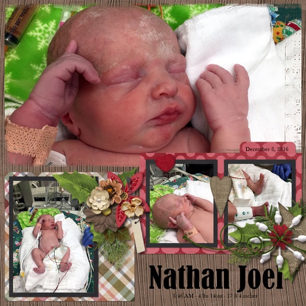 Nathan Joel