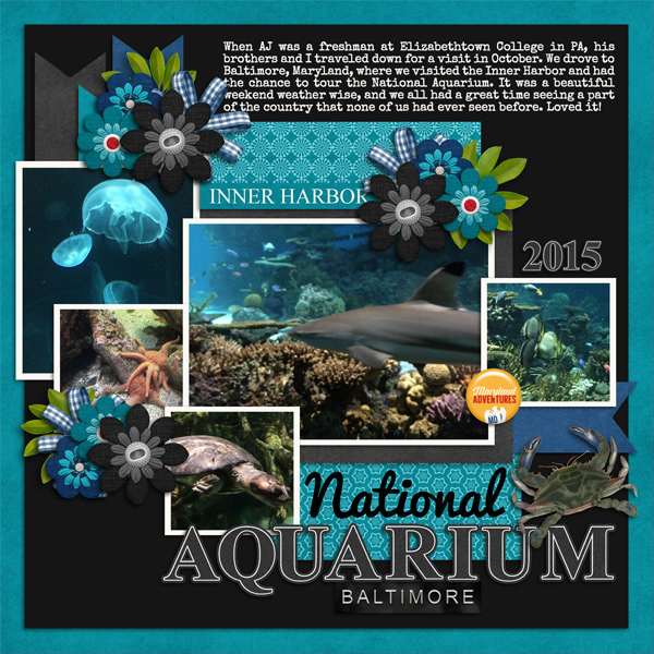 National Aquarium Baltimore