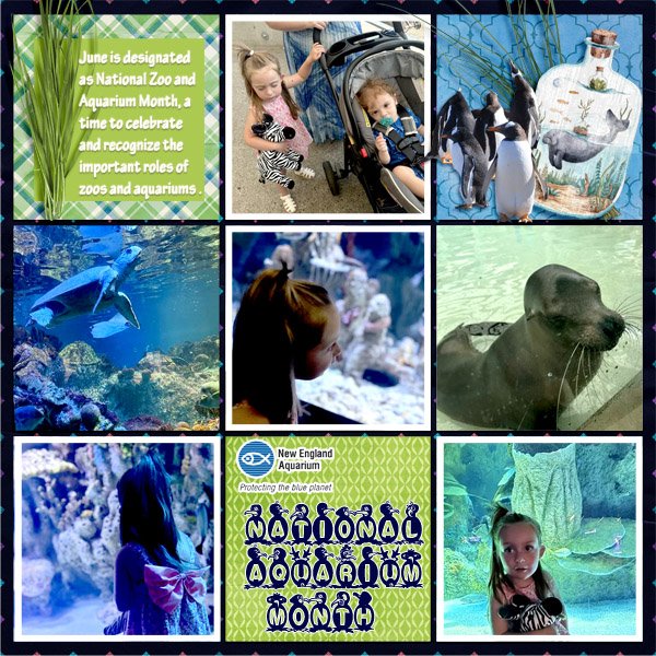 National Aquarium Month