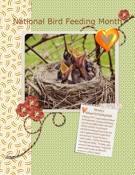 National Bird Feeding Month