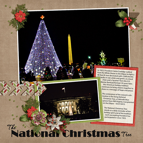 National Christmas Tree and Pathway of Peace_L