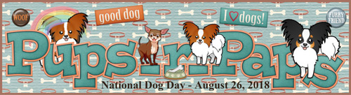 National Dog Day Siggy