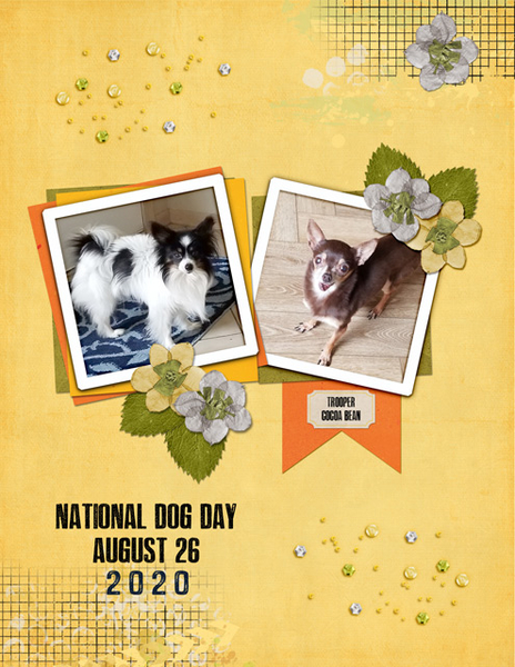 National Dog Day