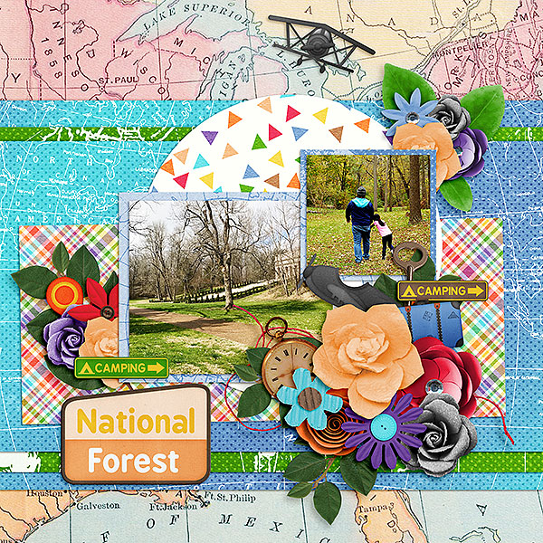 National Forest