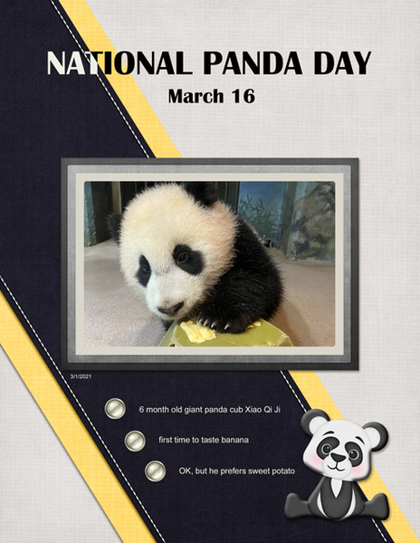 National Panda Day March 16