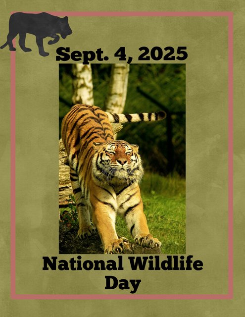 National Wildlife Day