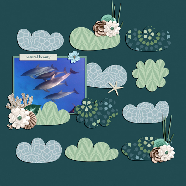natural beauties under the sea