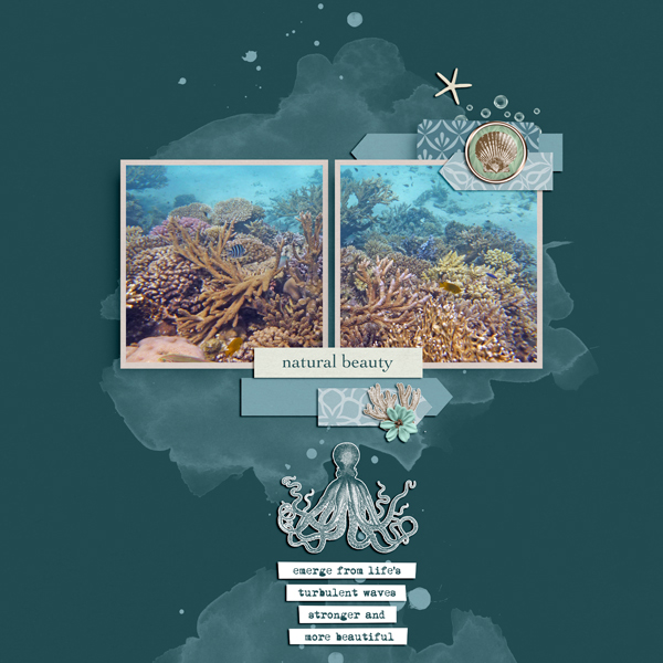 natural beauty under the sea