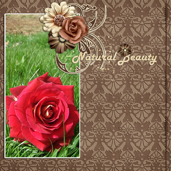 Natural Beauty