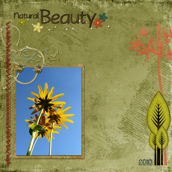 Natural Beauty