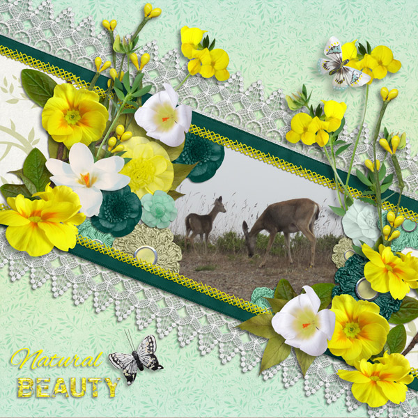 Natural Beauty