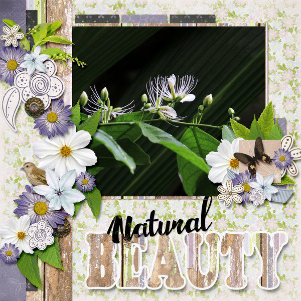 Natural beauty