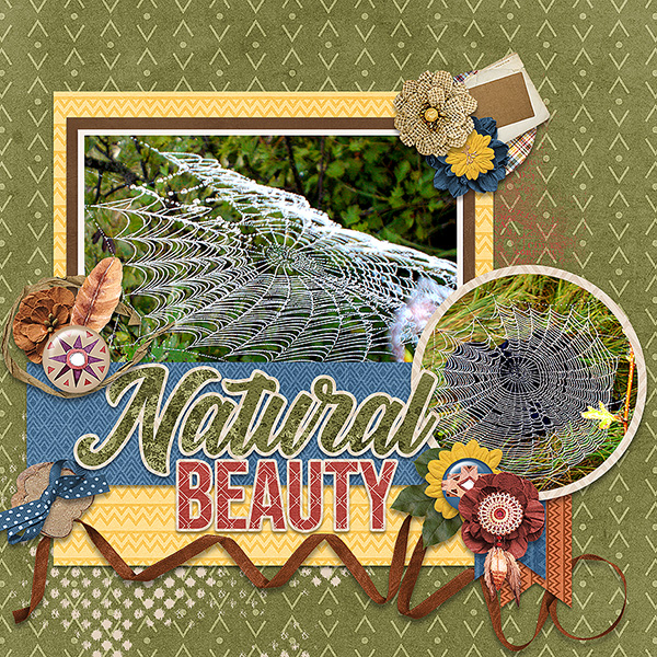 Natural Beauty