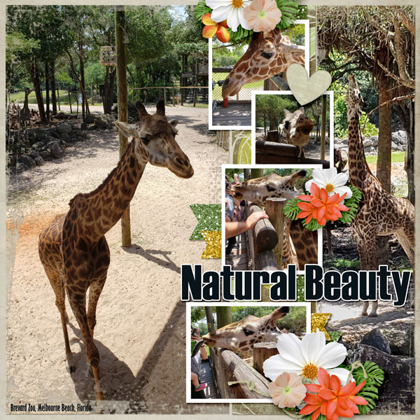 Natural Beauty