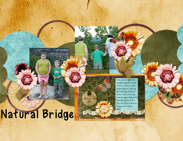Natural Bridge 2013