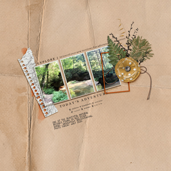 Natural Bridge | July 2020