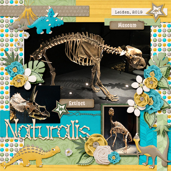 Naturalis