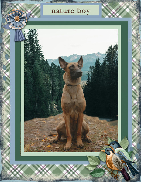 Nature Boy