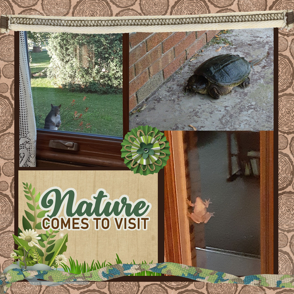 Nature comes to visit