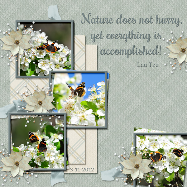 Nature does not hurry, yet everything is accomplished!