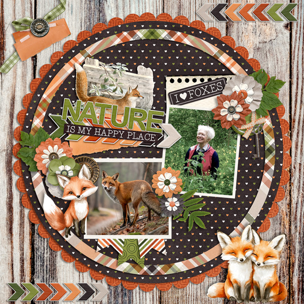 Nature Foxes