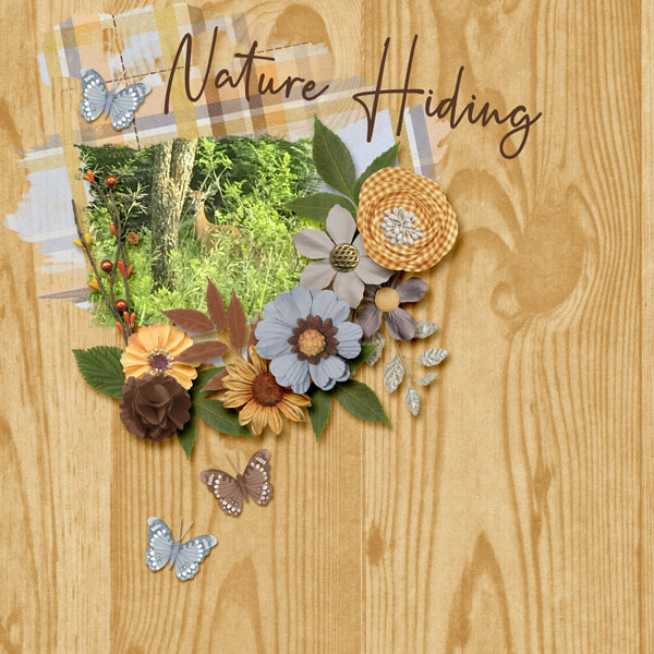 Nature Hiding