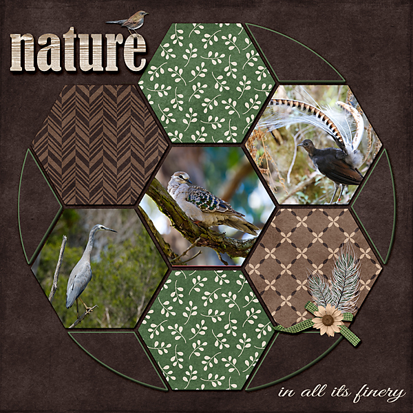 Nature in all it