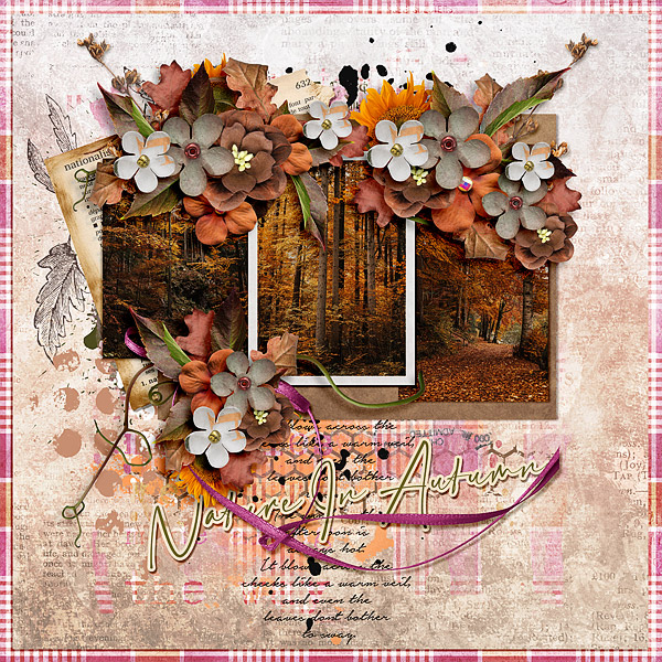 Nature in Autumn