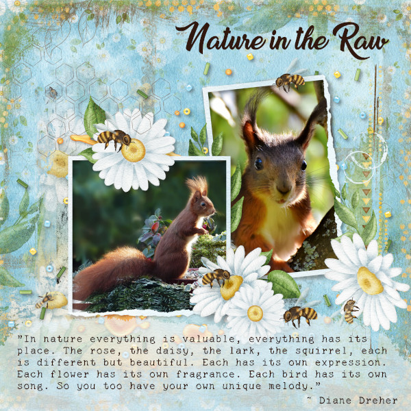 Nature in the Raw