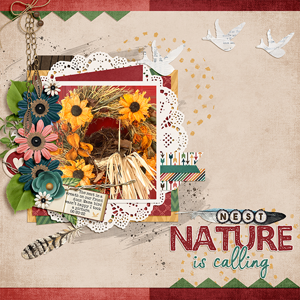 Nature is Calling [our bird nest]