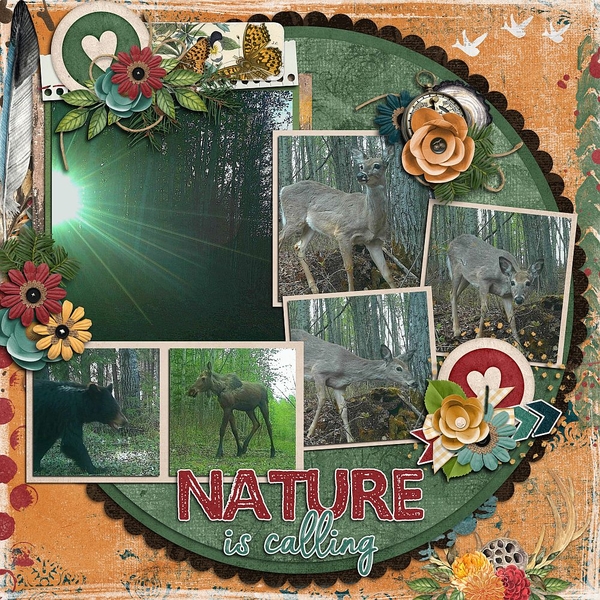 Nature is Calling