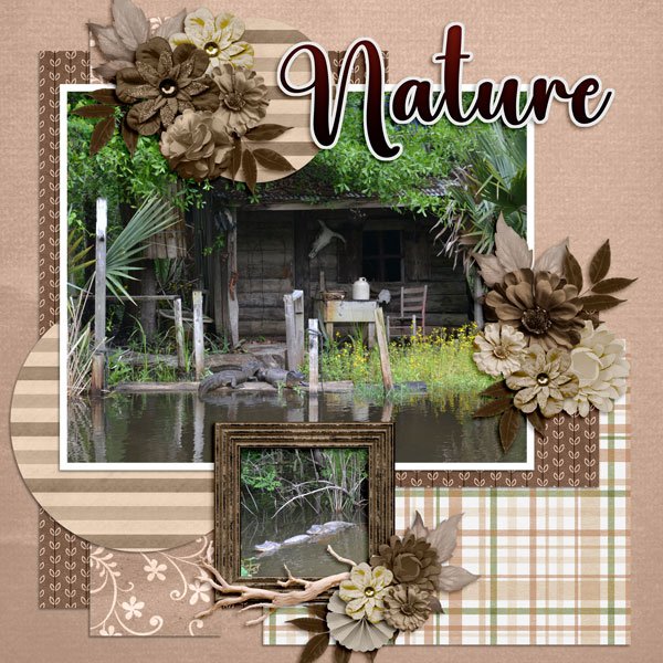 Nature.jpg