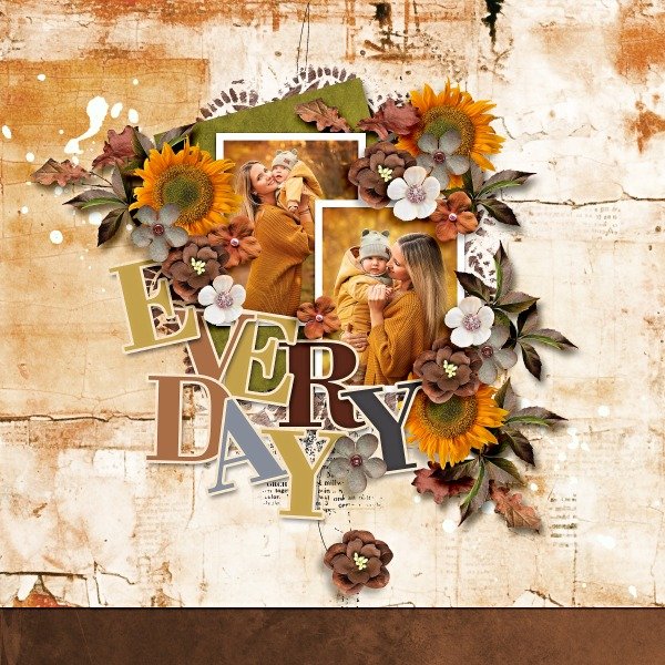 Nature ln Autumn - Collection
