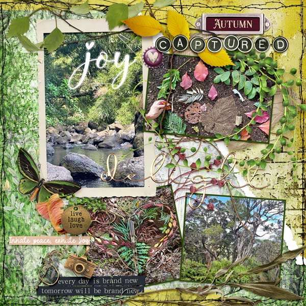 Nature-October-web.jpg