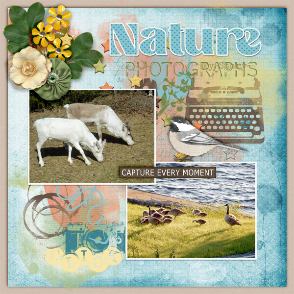 Nature-photographs