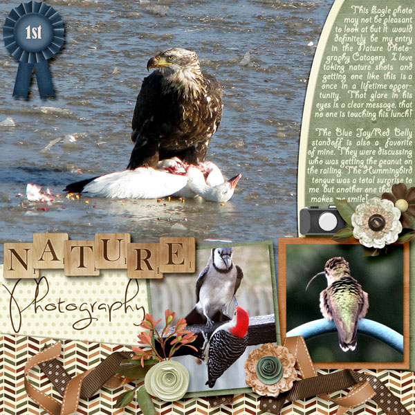 Nature Photography