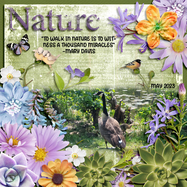 NATURE-QUOTE-8-24