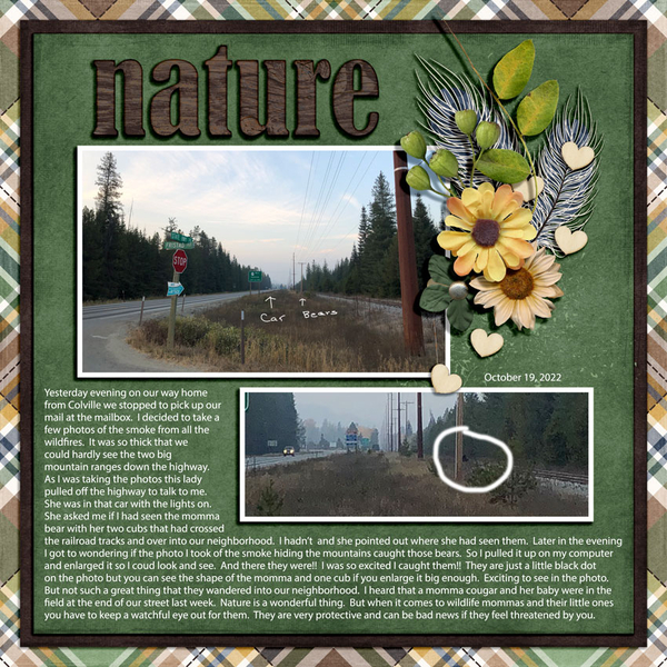 NATURE - THE BEARS