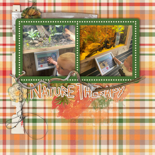 Nature Therapy