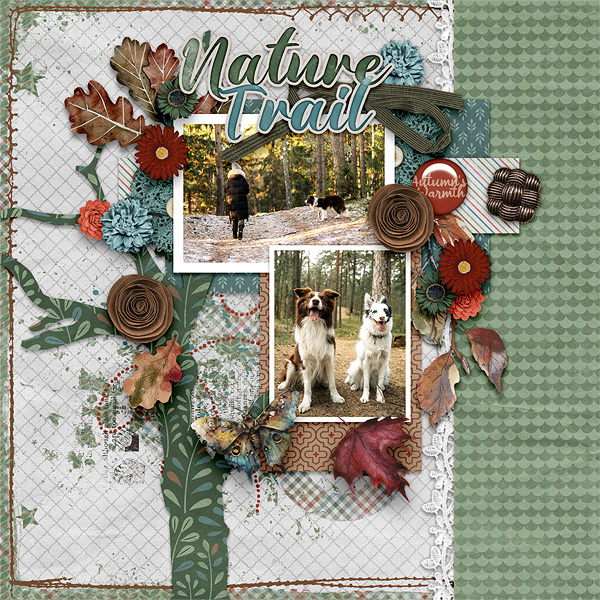Nature Trail