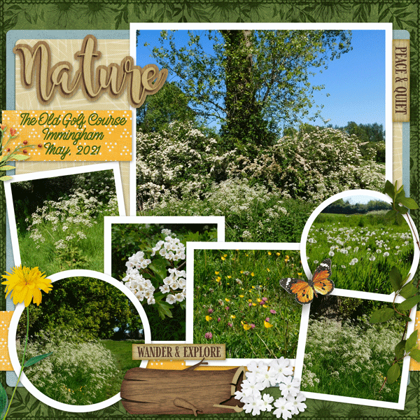 Nature Walk May 2021
