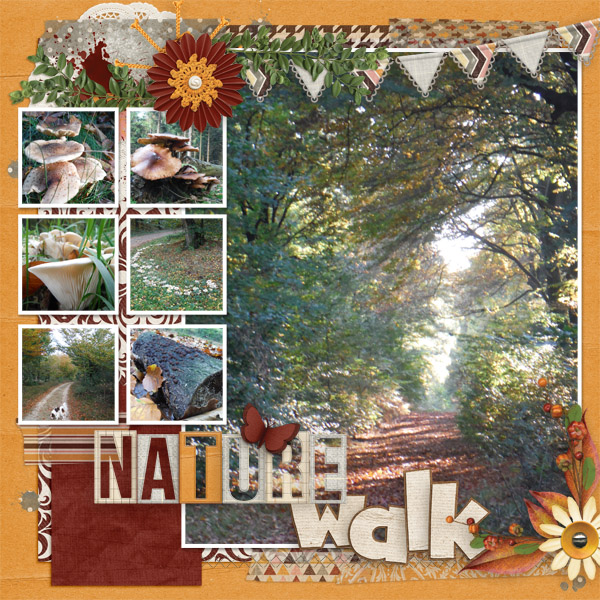 Nature Walk