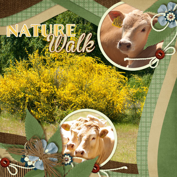 Nature Walk