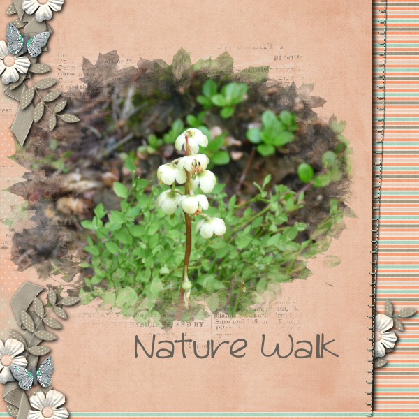 Nature Walk
