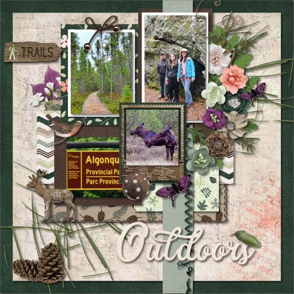 Nature Walk