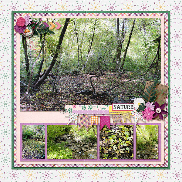 Nature Walk